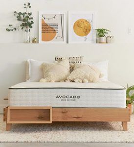 Avocado City Bed Natural 320