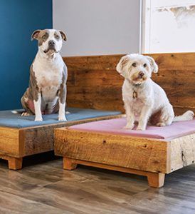 Veganlyy-Avocado-Dog-Bed-Pet-Frame