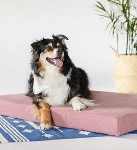 Veganlyy-Avocado-GreenOrganic-Dog-Pet-Bed-Mattress-vegan-pet-products