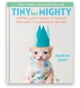Tiny But Mighty - book-cover-kitten-lady-amazon-veganlyy