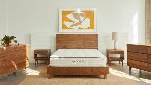 veganlyy-avocado-mattress-green-banner-slider-eco-sustainable-vegan-840x473