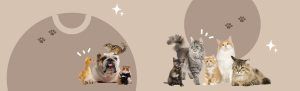 veganlyy-pets-category-slider-favorite-vegan-pet-products-healthy-banner