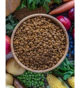 veganlyy-amazon-veggie-animals-cat-gato-comida-food-web
