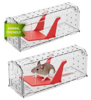 veganlyy-amazon-ethical-mouse-trap-pets