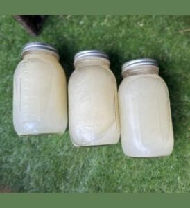 three jars filled with sea irish moss gel over greeen grass by veganlyy