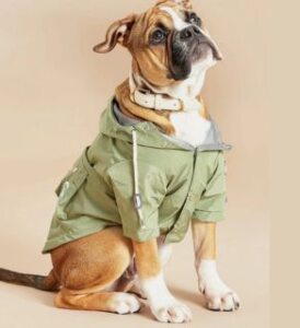 barc-london-original-khaki-green-dog-raincoat-veganlyy-discounts-eco-fashion-pets-sustainable-cruelty-free-veganlyy