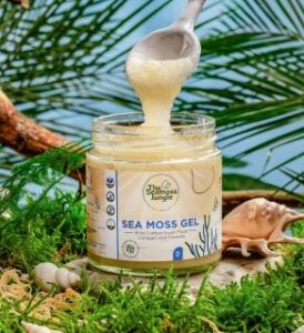 a jar of vegan sea moss gel produced by The Sea Moss Jungle and presented by Veganlyy surrounded by green plants and on blue background with a leaking sea moss gel from a spoon over it